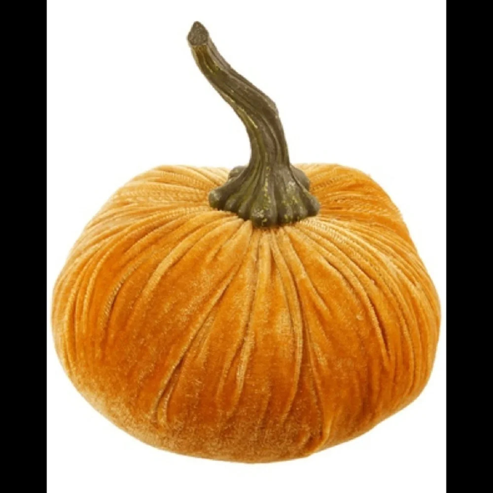 FLORA BUNDA Gold Large 6" Velvet Pumpkin 🎃 - Picture 5 of 6